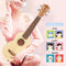 23 Inch Sapele Solid Spruce Top High Tide Concert Ukulele